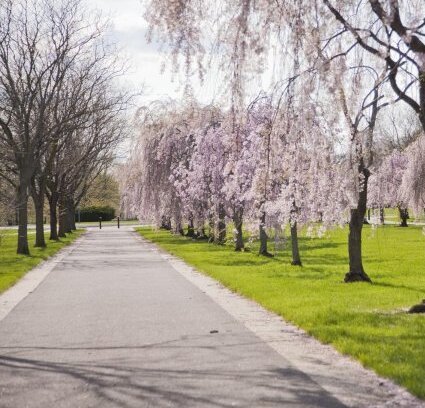 philadelphia-park (1)
