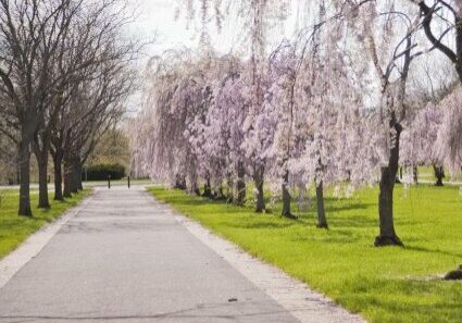 philadelphia-park (1)